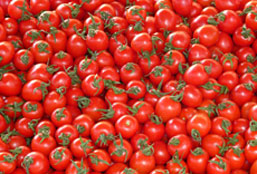 DDOS压力测试网页端