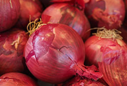 ddos攻击防御手段