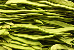 ddos压力测试平台