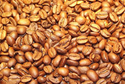 DDOS压力测试网页端